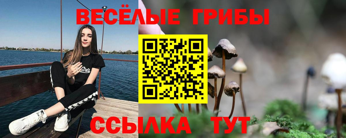 Галлюциногенные грибы мухоморы  Вход с VPN  Норильск 